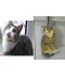Personalised Cat Door Hanger